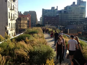 Miradores como el de la calle 14 y el de la calle 30 permiten a los visitantes disfrutar de una perspectiva única de Manhattan