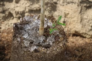 Lluvia Sólida se presenta como una herramienta ideal para la actividad agrícola